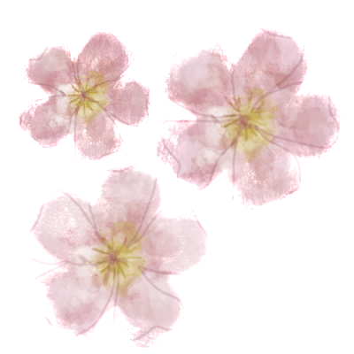 blossoms-1