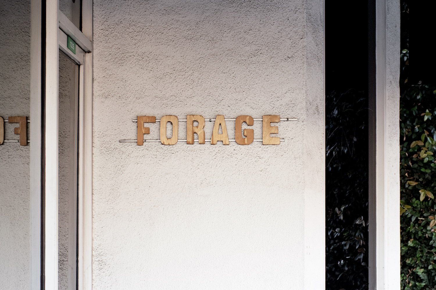 forage_0377